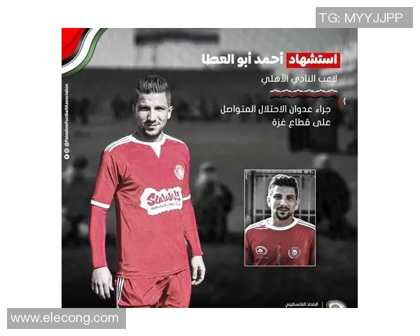 巴勒斯坦足球明星的崛起与影响力探讨