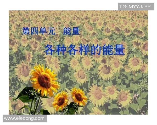 足球明星专用能量条揭秘助力比赛的营养成分与能量来源