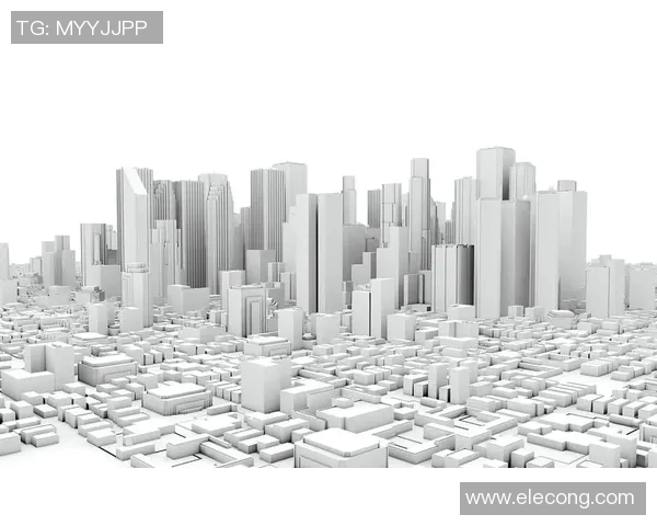 弗格的崛起与影响力探讨：从历史到现代的全景分析与思考